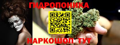 дурь Будённовск