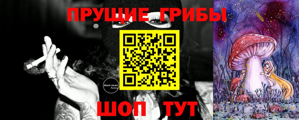 Галлюциногенные грибы Psilocybe Сердобск