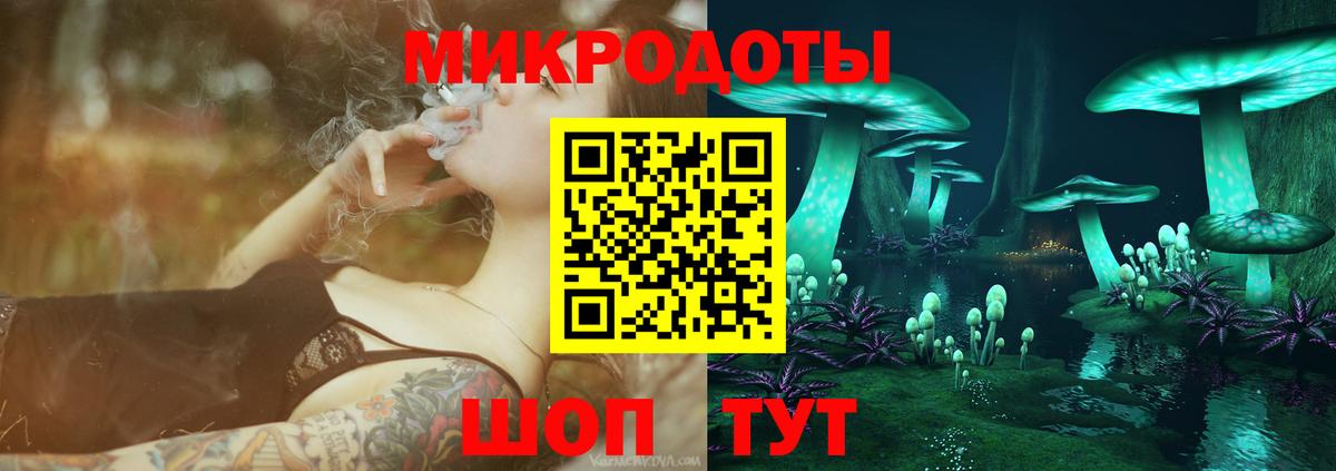 Сердобск  Псилоцибиновые грибы прущие грибы  Галлюциногенные грибы Psilocybe  Вход с VPN 